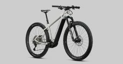 Radon Jealous Hybrid 10.0 625 -Fahrrad Verkaufsladen 2022 JEALOUS HYBRID CX625 10 0 detail 09