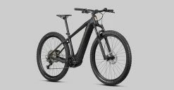 Radon Jealous Hybrid 8.0 625 -Fahrrad Verkaufsladen 2022 JEALOUS HYBRID CX625 8 0 detail0746Zao2axDJ4CU