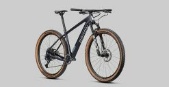 Radon Jealous 10.0 -Fahrrad Verkaufsladen 2022 Jealous 10 0 detail08